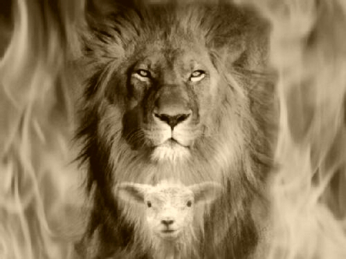 Resultado de imagen para el cordero y el leon biblia